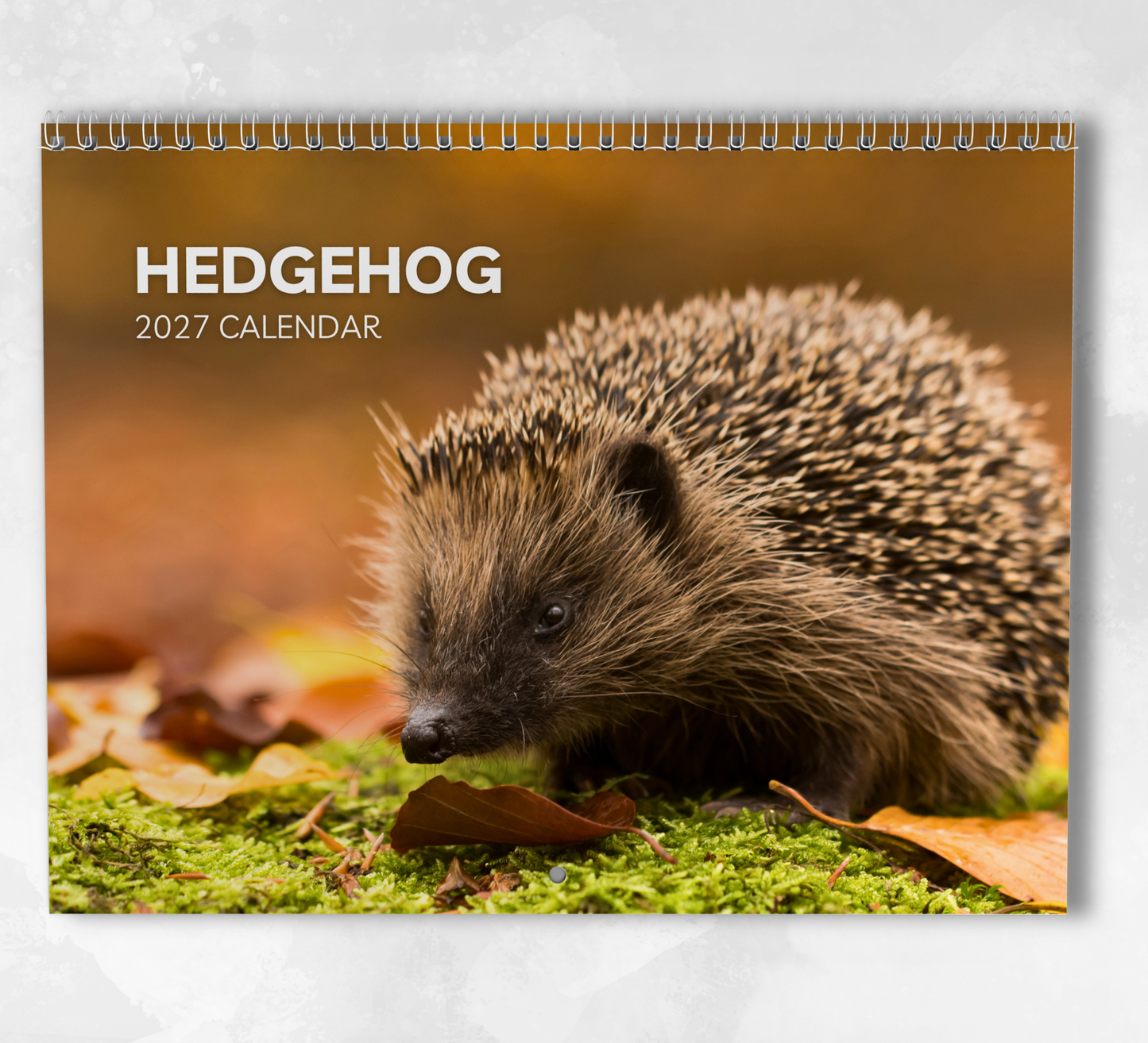 Hedgehog Calendar 2027