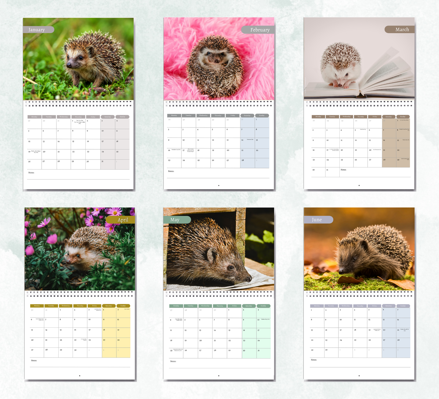 Hedgehog Calendar 2027