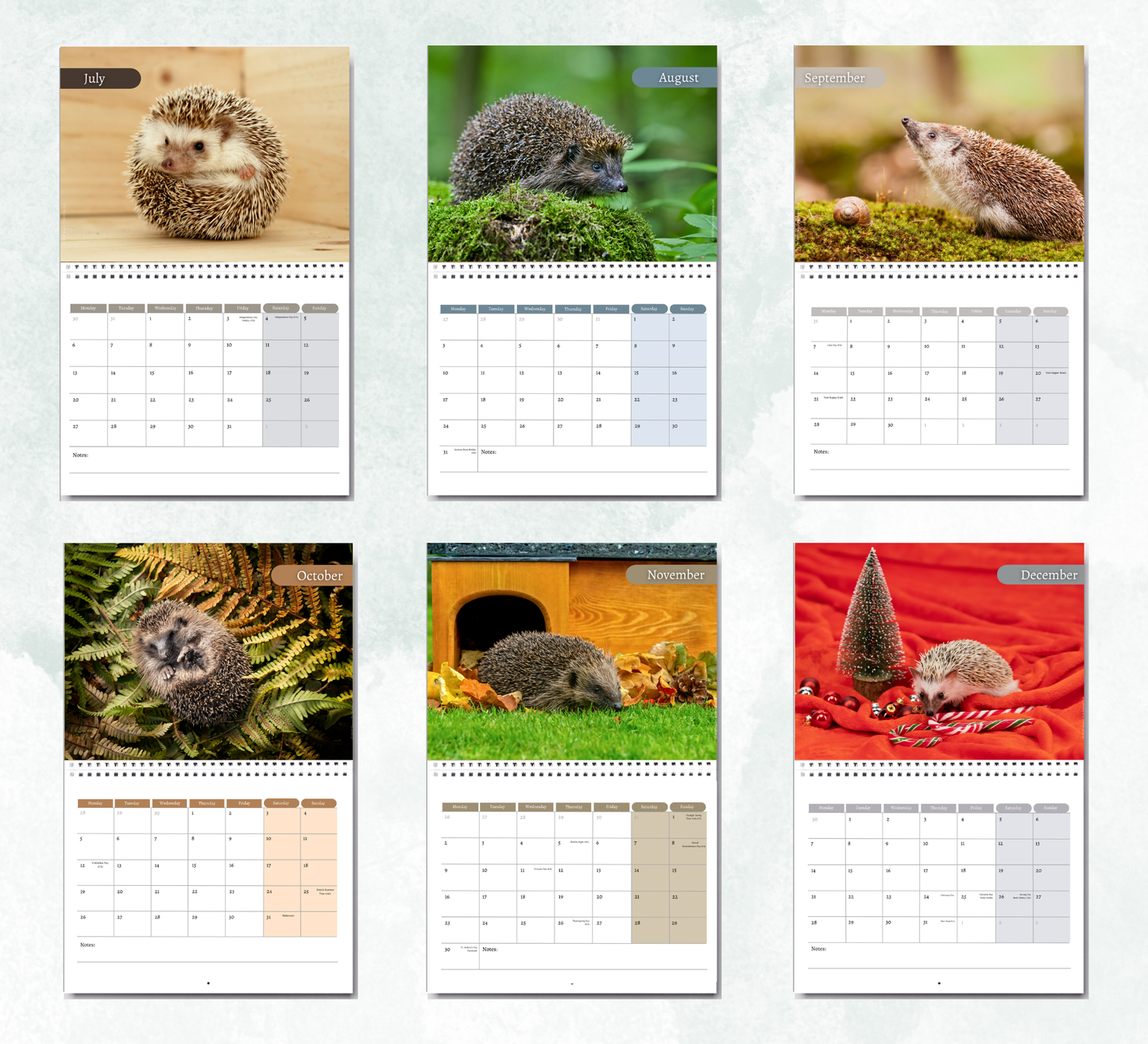 Hedgehog Calendar 2027