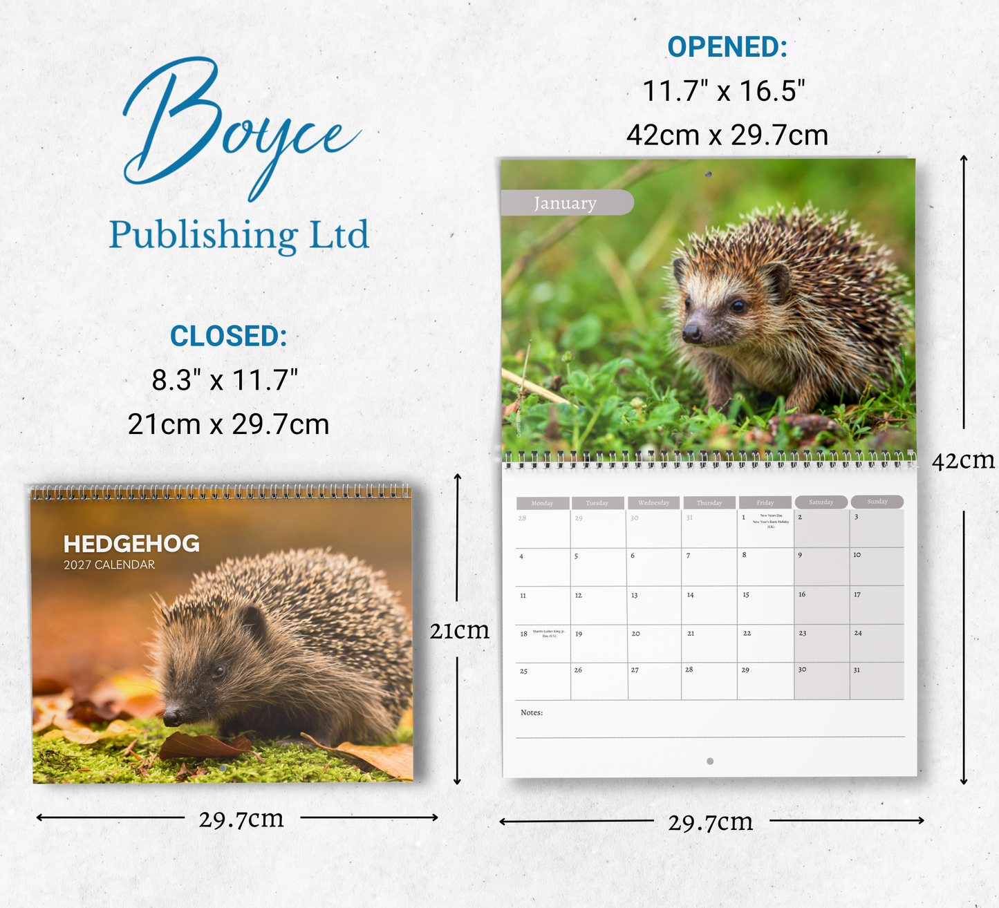 Hedgehog Calendar 2027