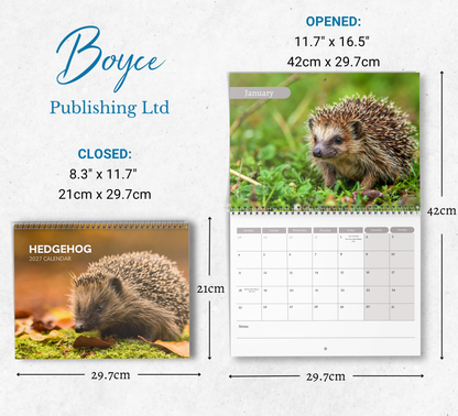 Hedgehog Calendar 2027