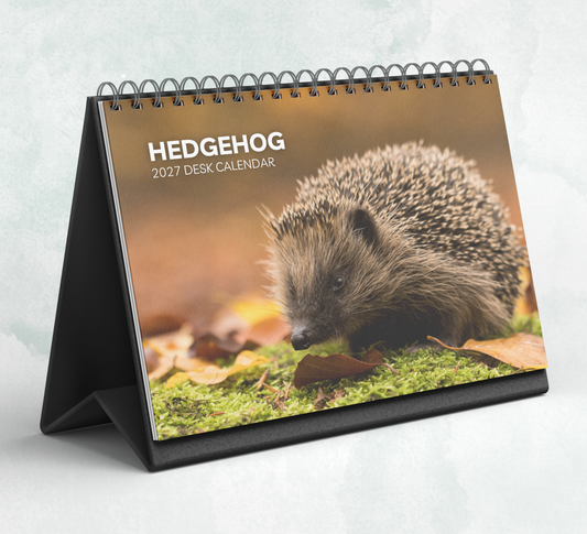 Hedgehog Desk Calendar 2027-2028