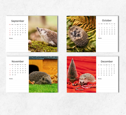 Hedgehog Desk Calendar 2027-2028