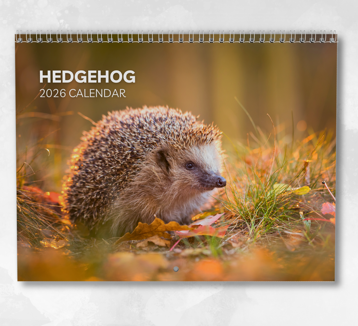 Hedgehog Calendar 2026
