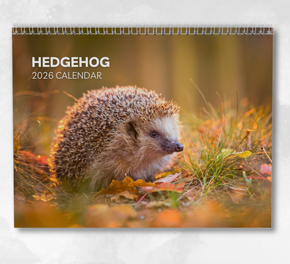 Hedgehog Calendar 2026