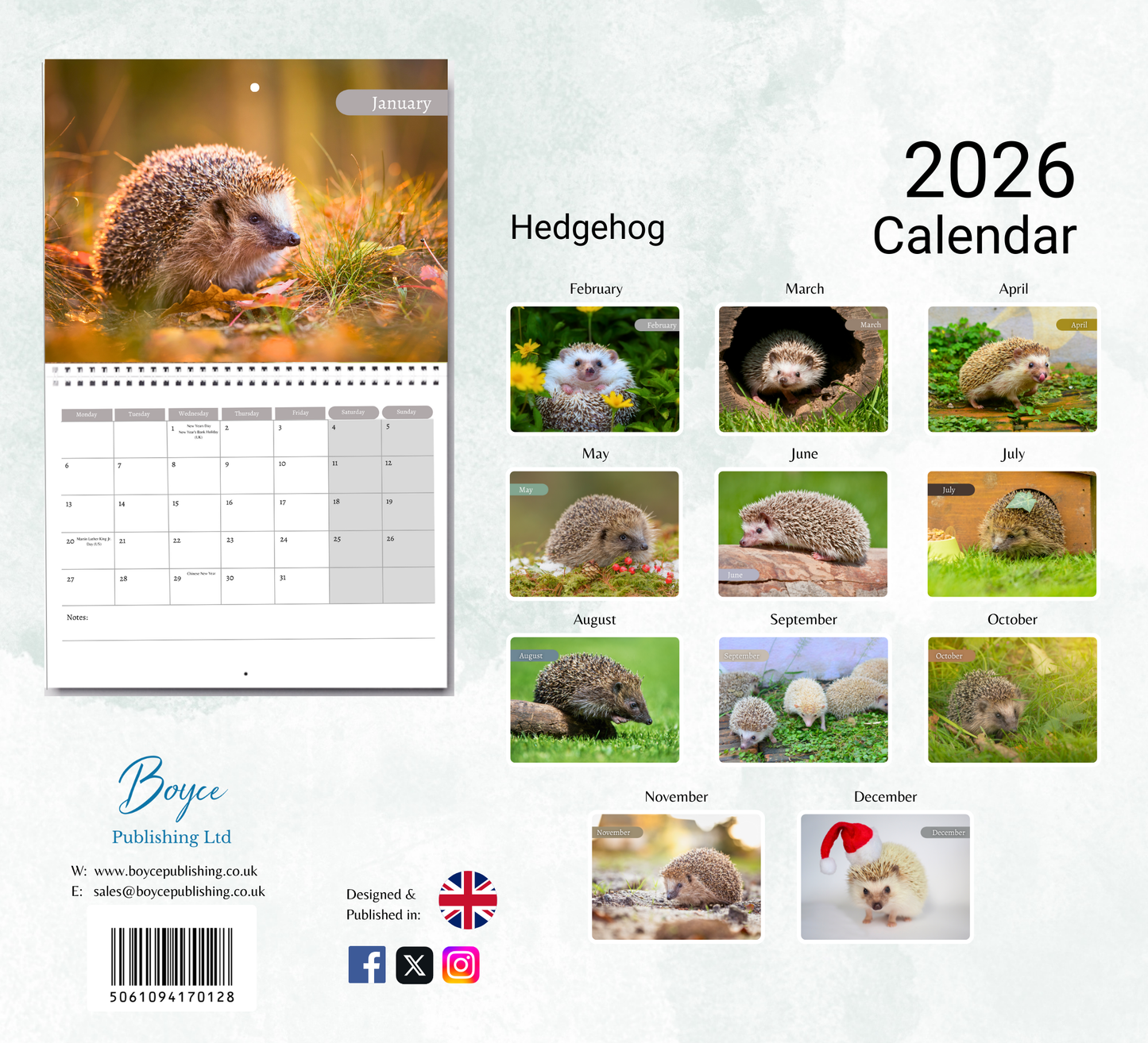 Hedgehog Calendar 2026