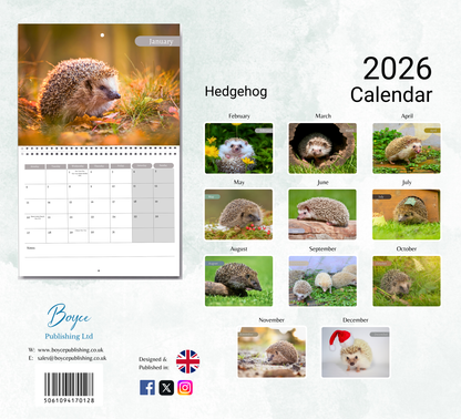 Hedgehog Calendar 2026