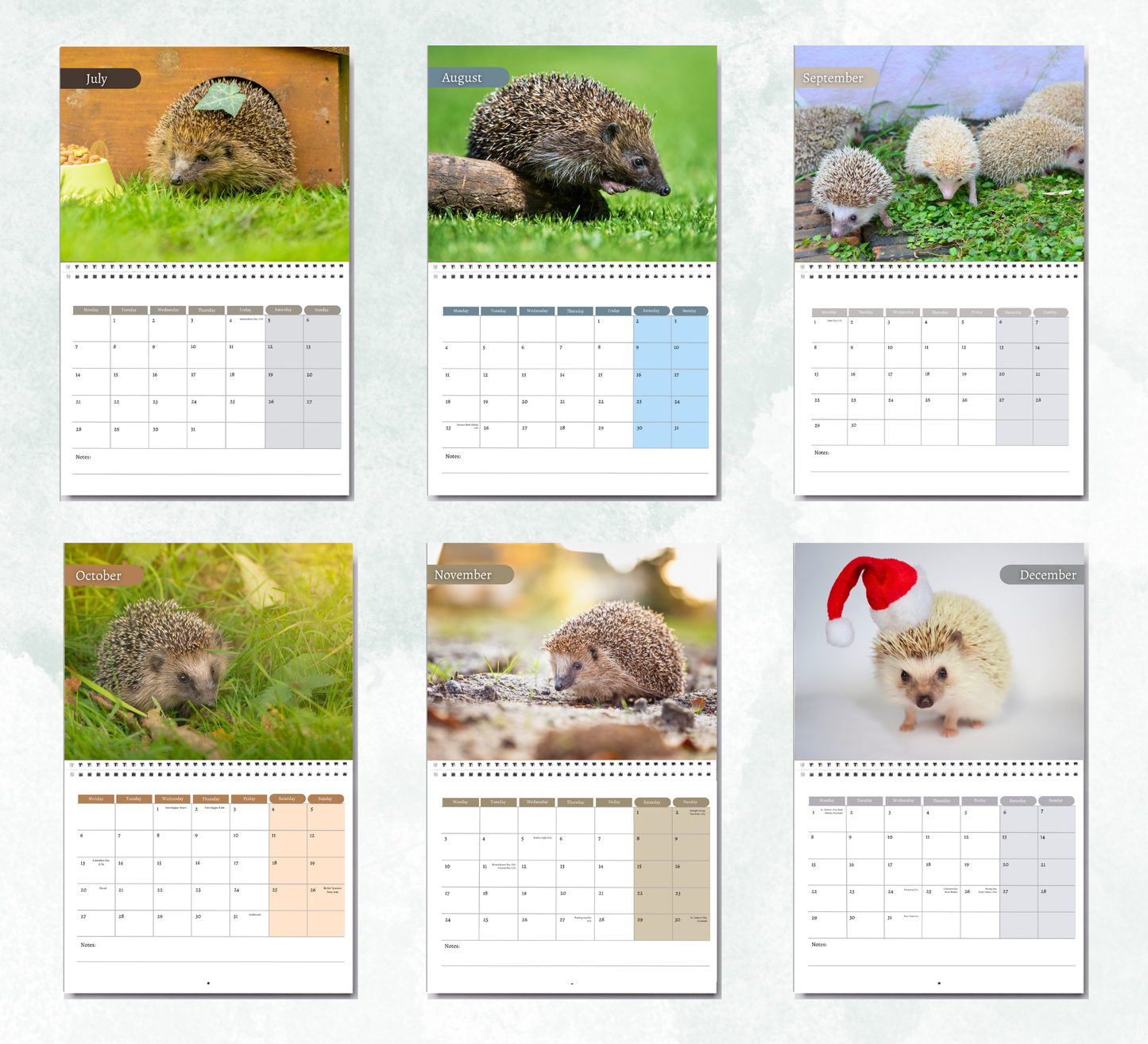 Hedgehog Calendar 2026