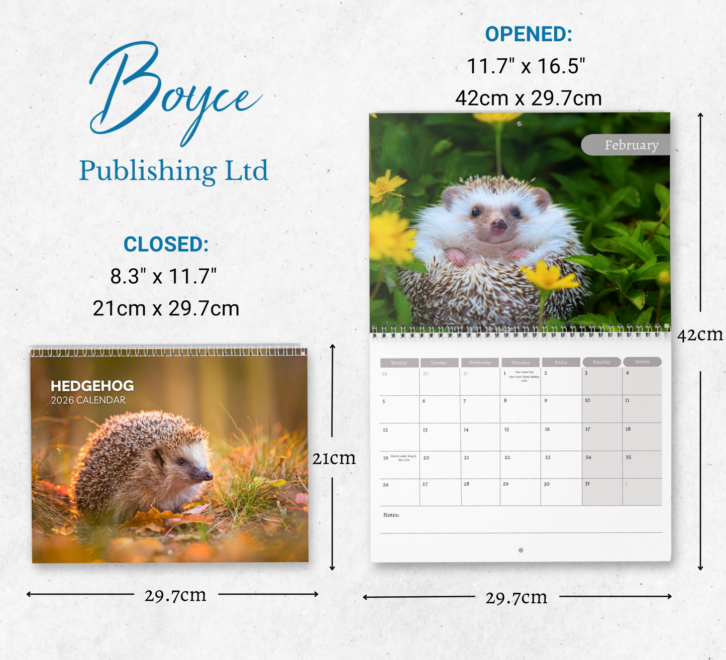 Hedgehog Calendar 2026