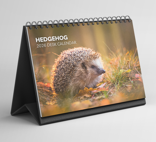 Hedgehog Desk Calendar 2026-2027