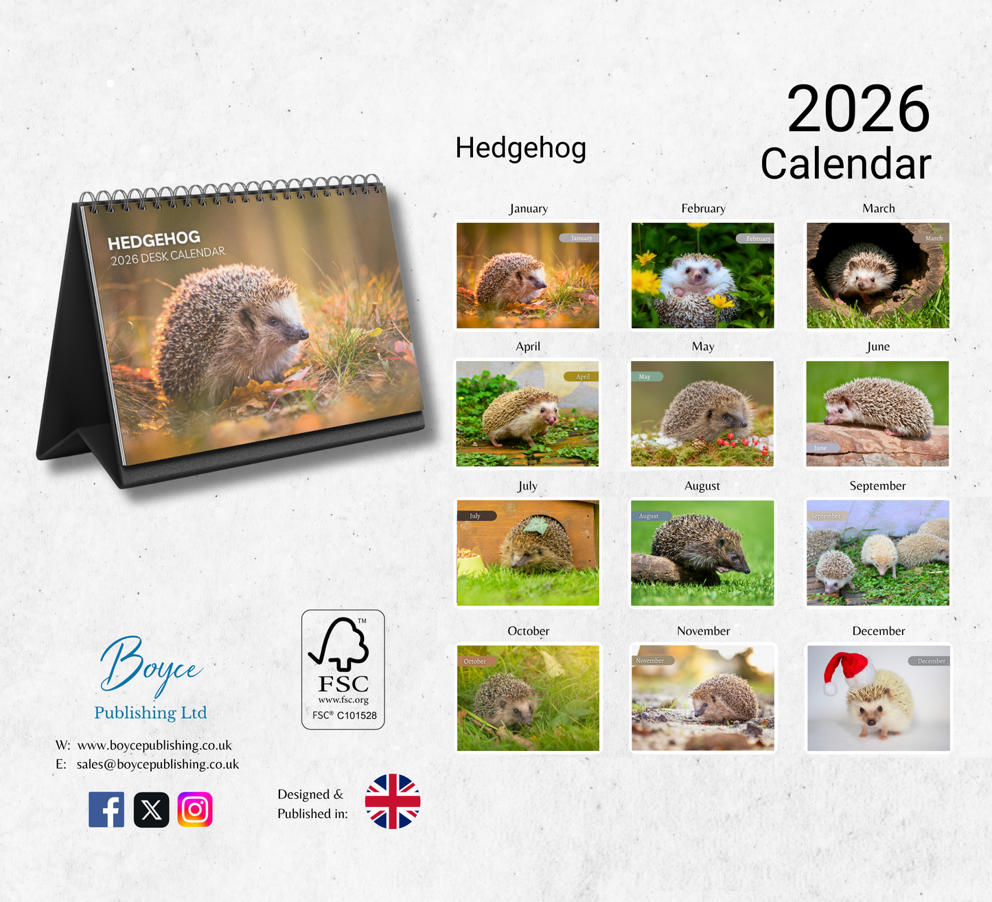 Hedgehog Desk Calendar 2026-2027