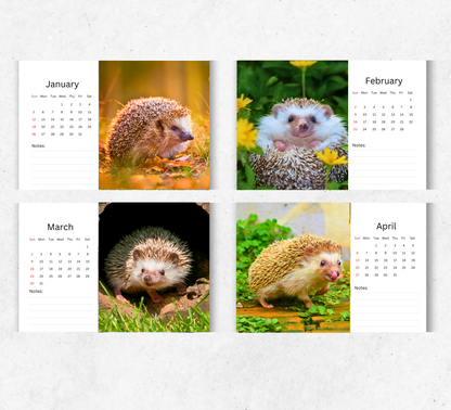 Hedgehog Desk Calendar 2026-2027