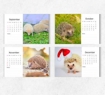 Hedgehog Desk Calendar 2026-2027