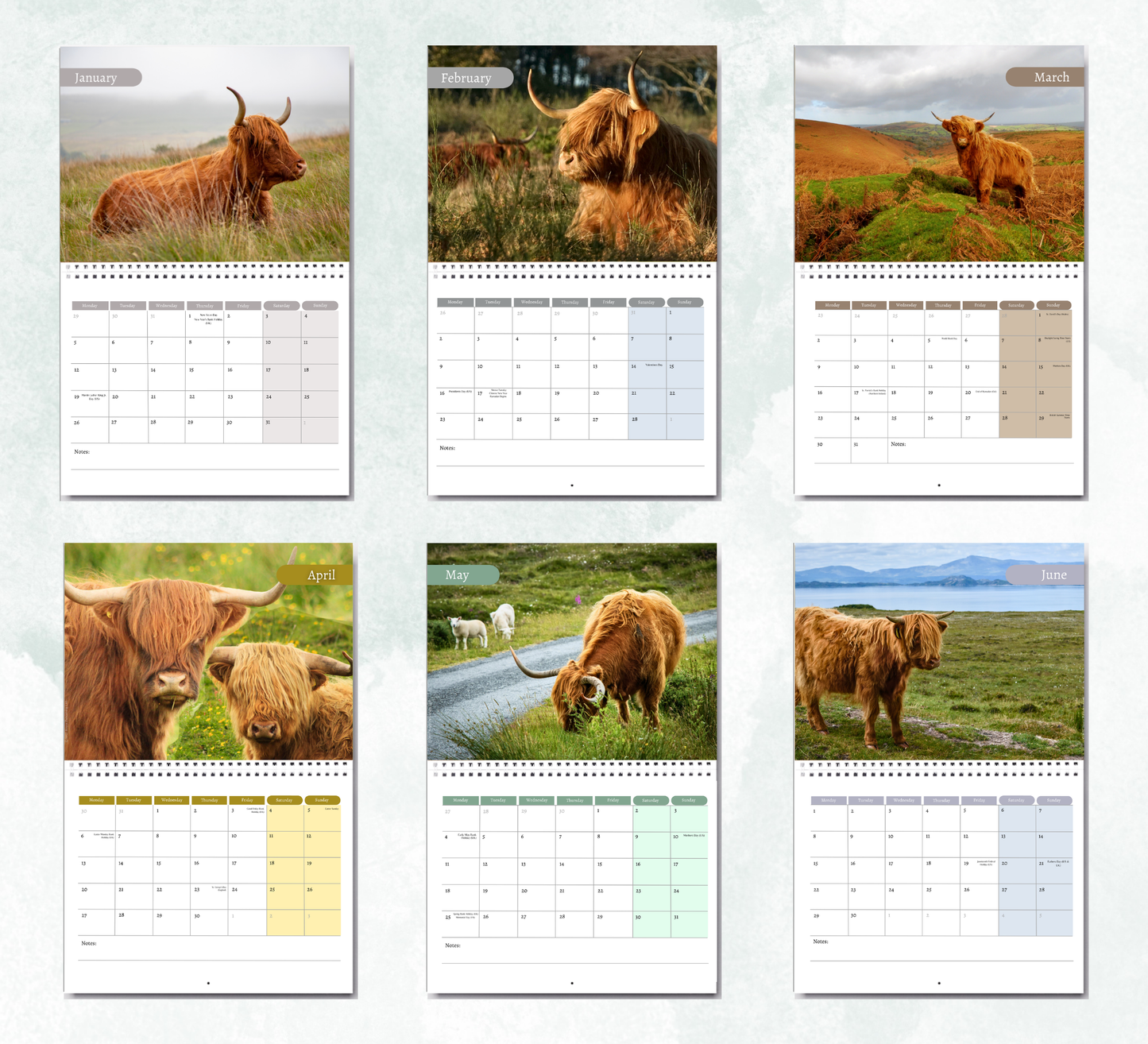 Highland Cow Calendar 2027
