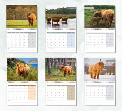 Highland Cow Calendar 2027