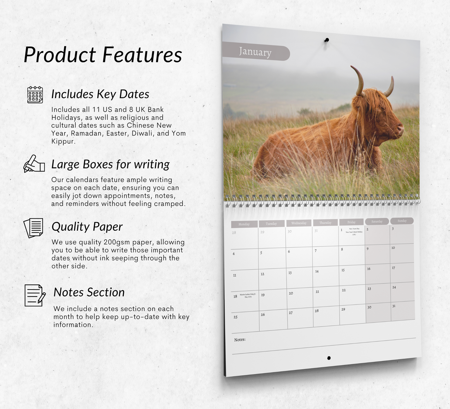 Highland Cow Calendar 2027