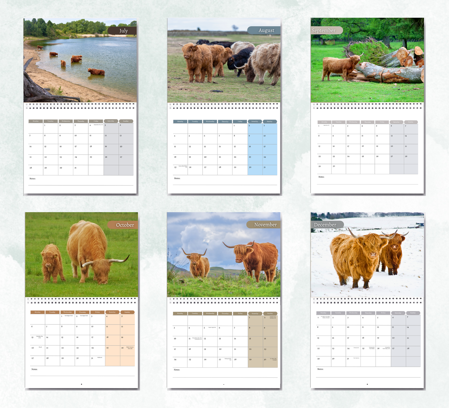 Highland Cow Calendar 2026