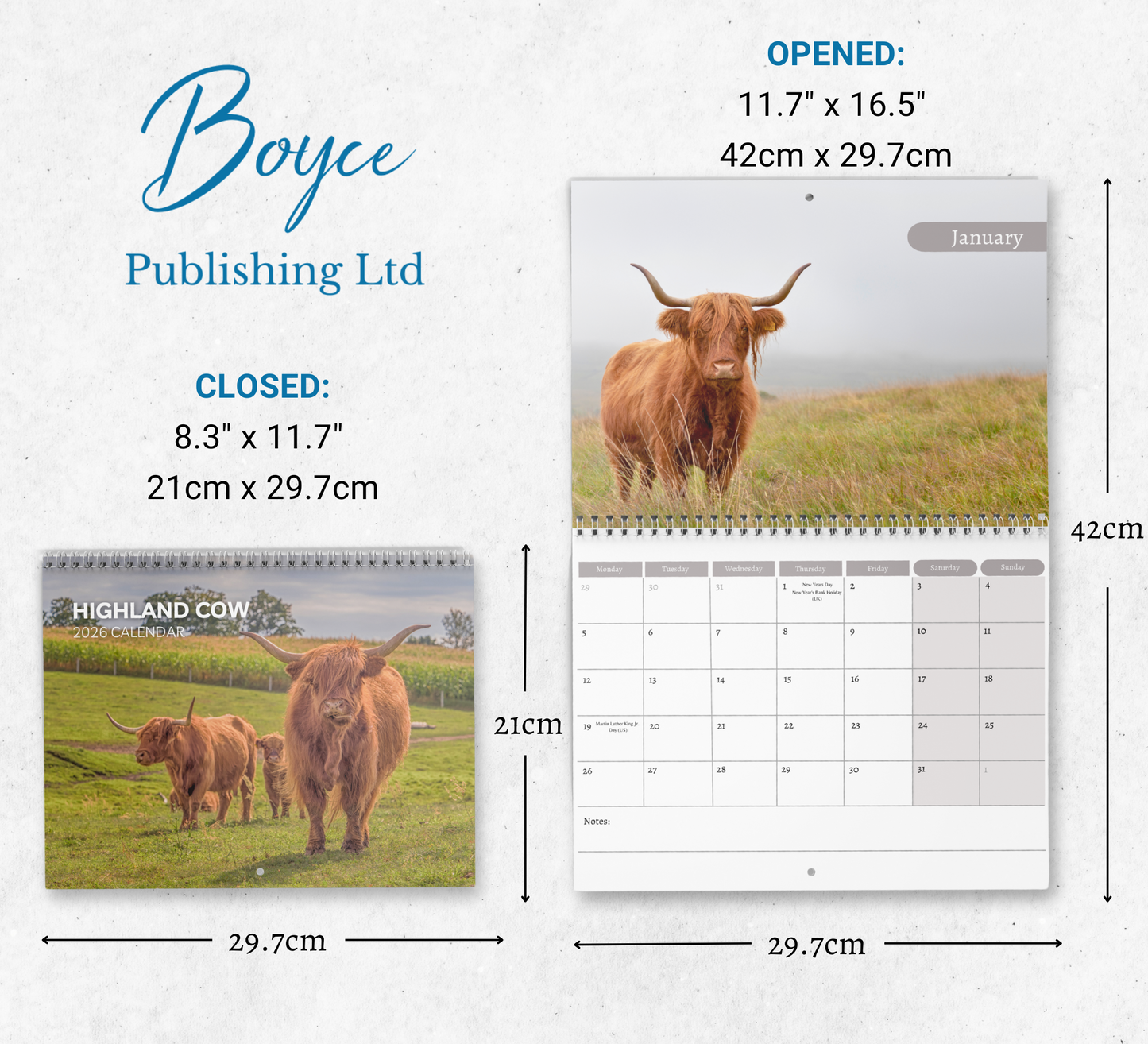 Highland Cow Calendar 2026