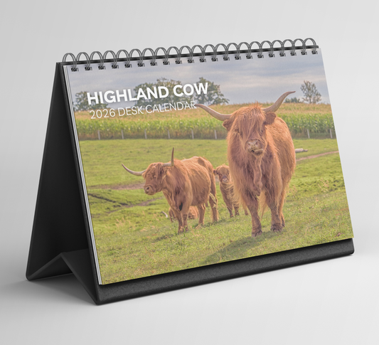 Highland Cow Desk Calendar 2026-2027