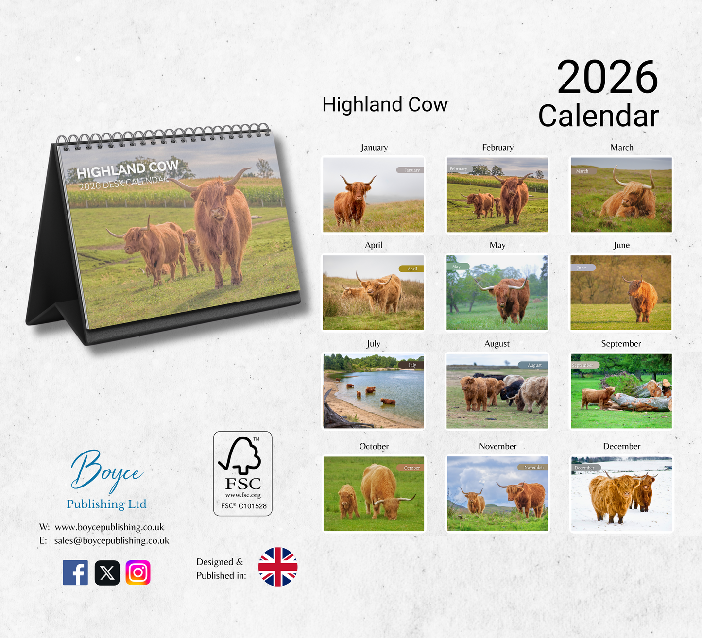 Highland Cow Desk Calendar 2026-2027