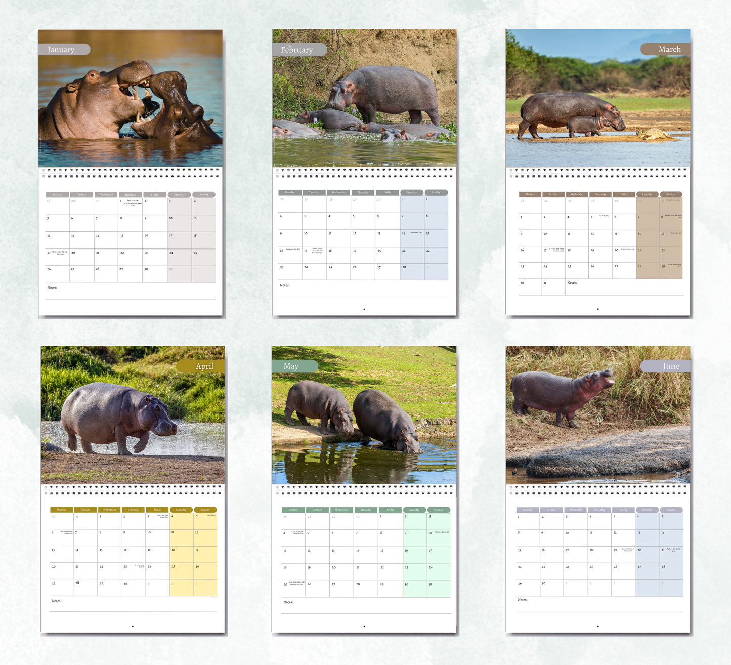 Hippo Calendar 2027