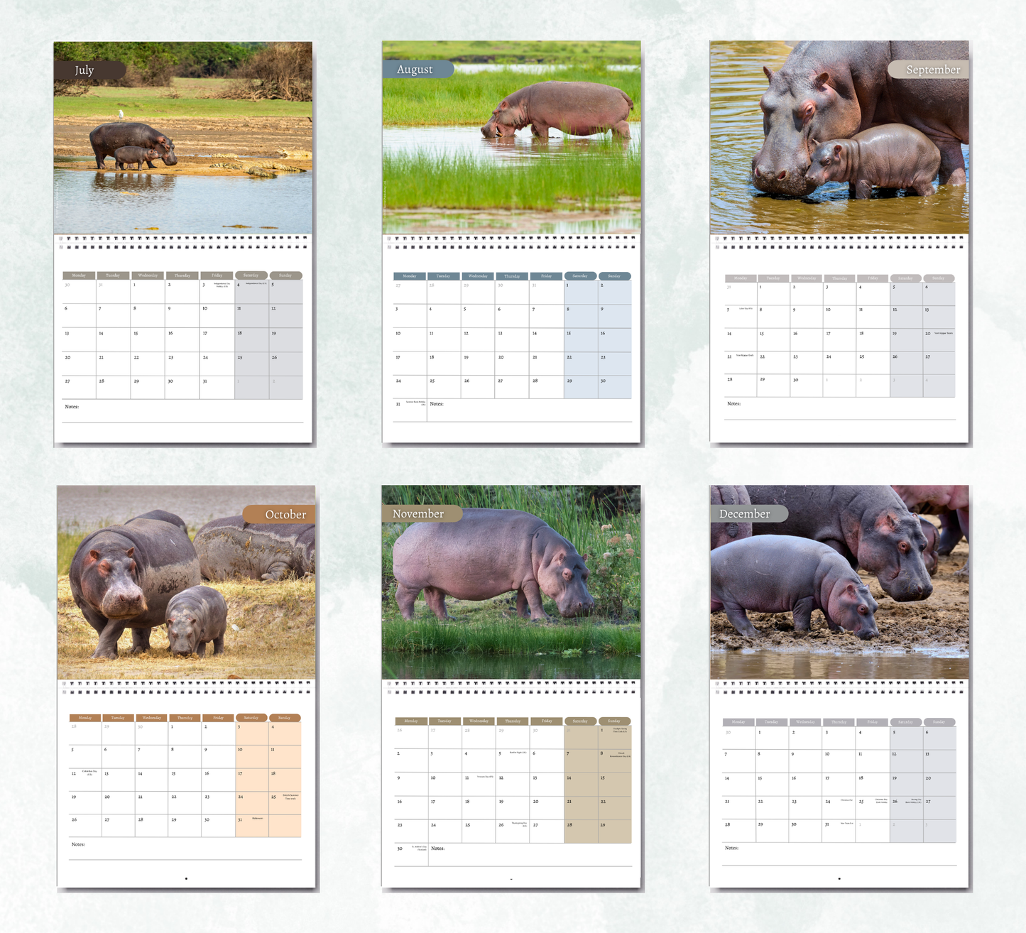 Hippo Calendar 2027