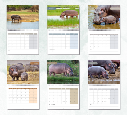 Hippo Calendar 2027