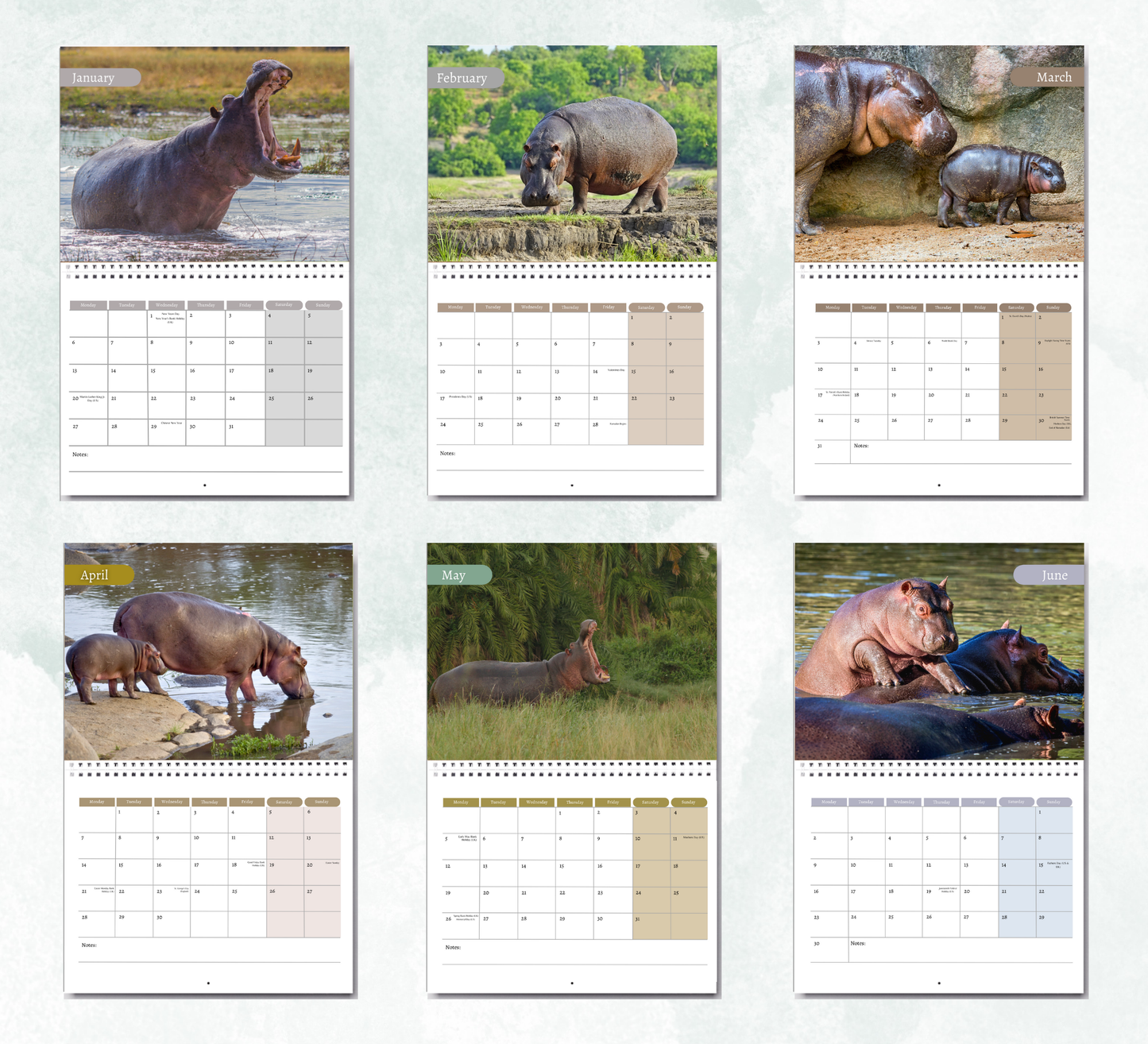 Hippo Calendar 2026