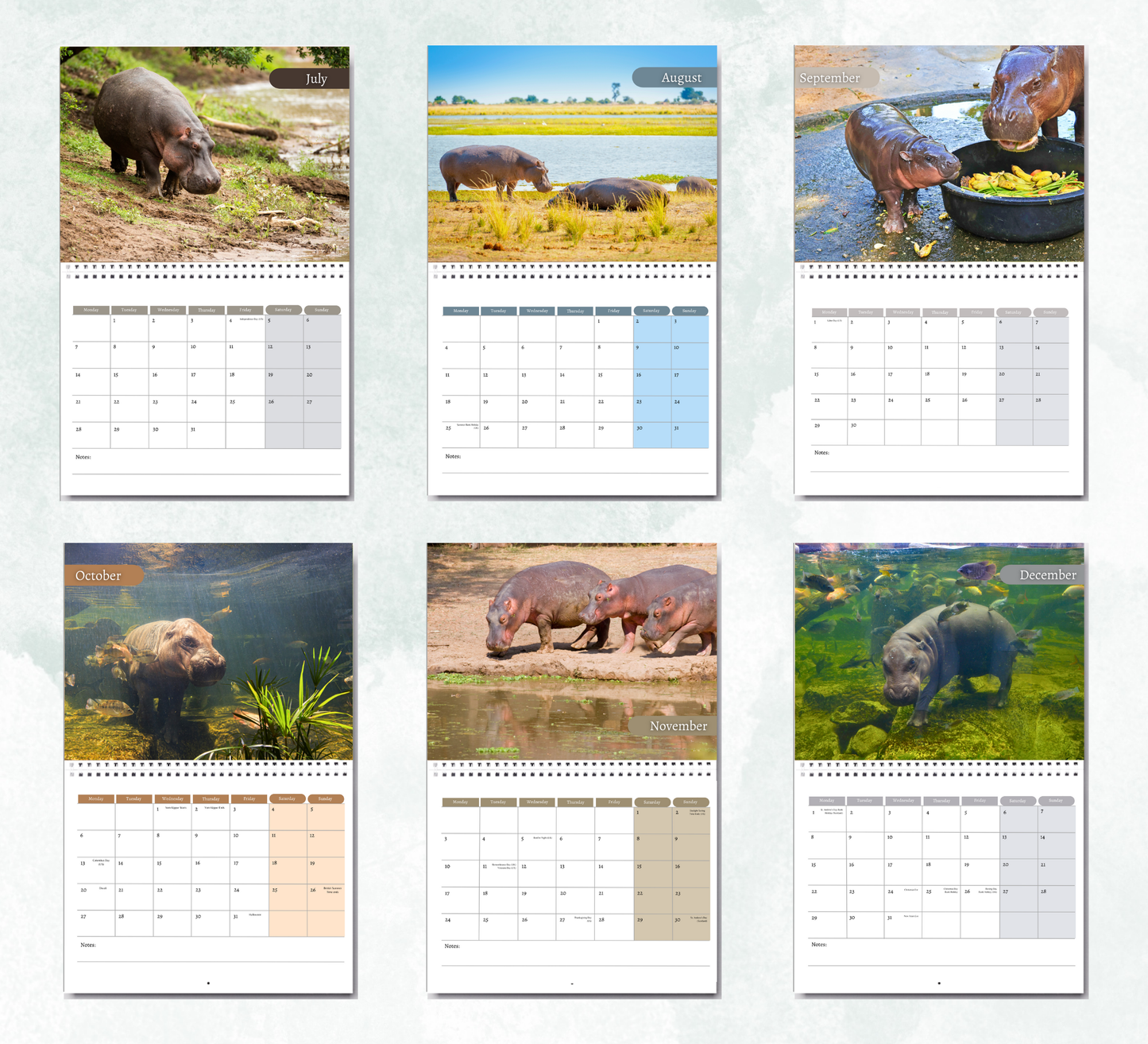 Hippo Calendar 2026