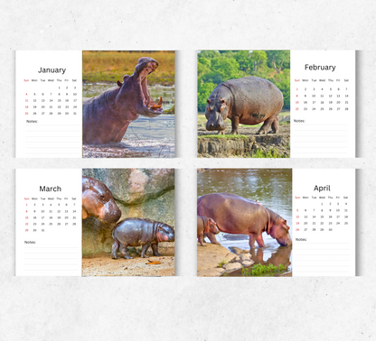 Hippo Desk Calendar 2026-2027
