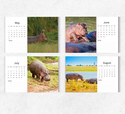 Hippo Desk Calendar 2026-2027