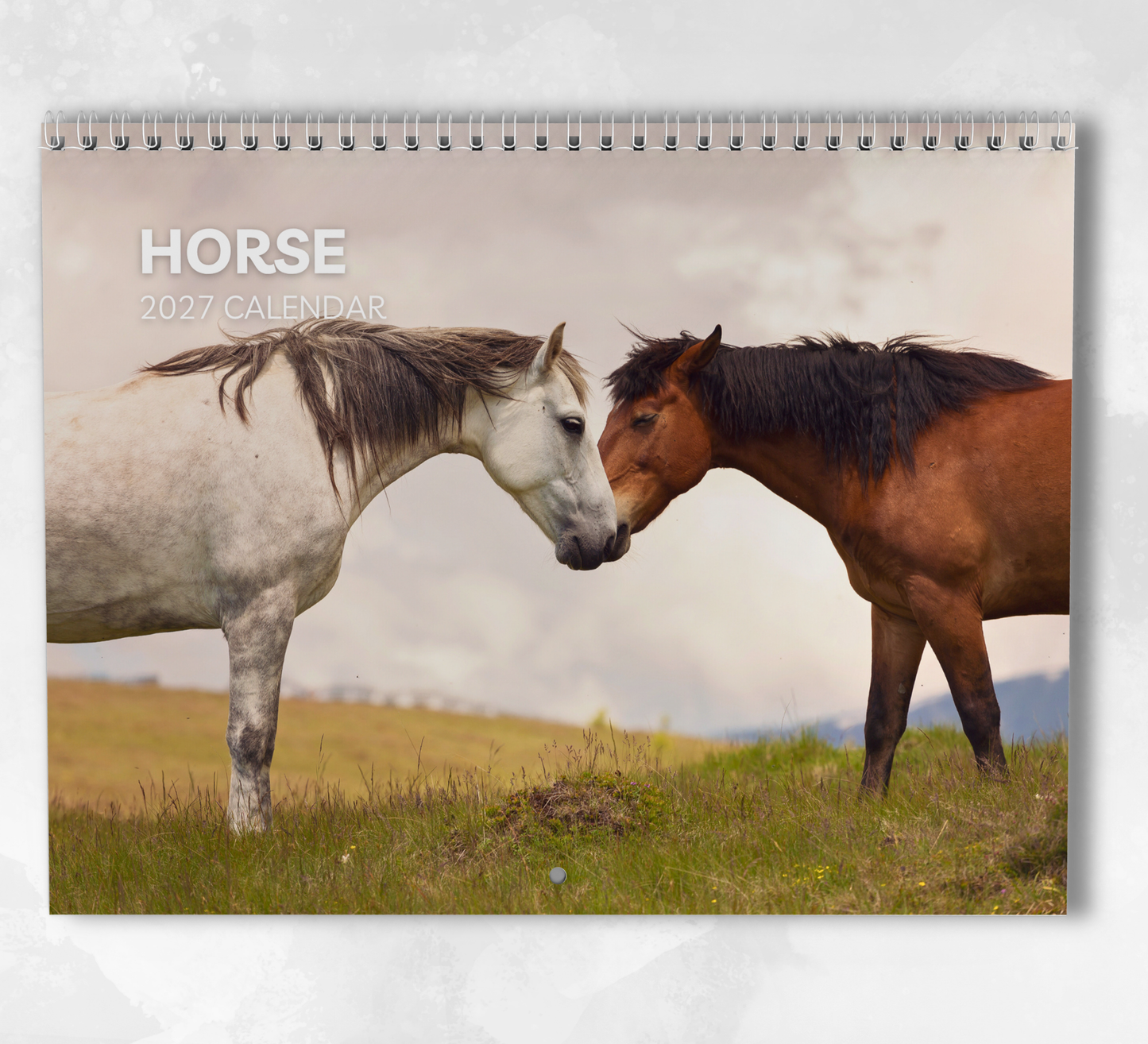 Horse Calendar 2027