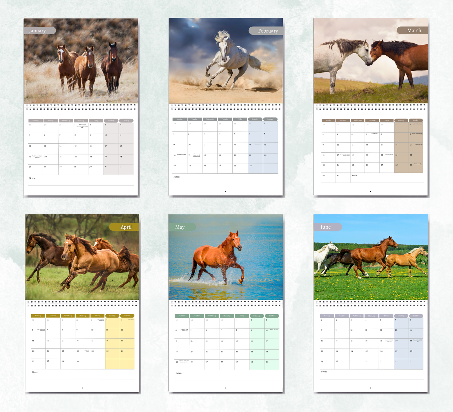 Horse Calendar 2027