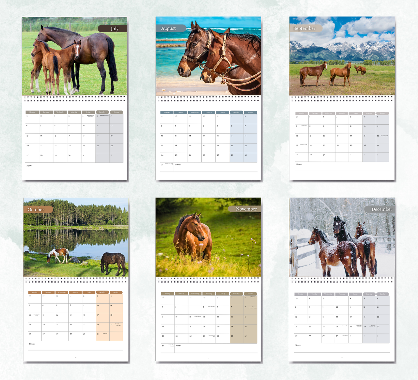 Horse Calendar 2027