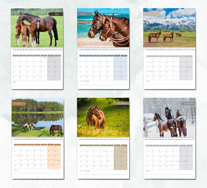 Horse Calendar 2027