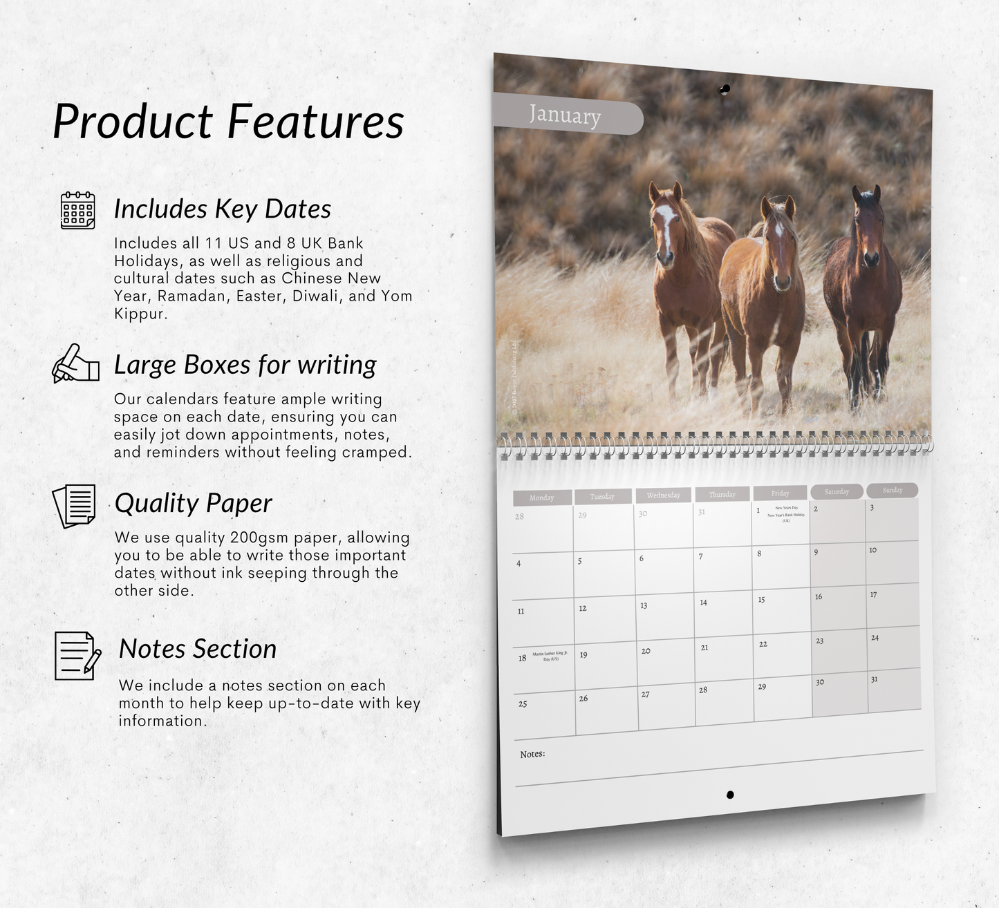 Horse Calendar 2027
