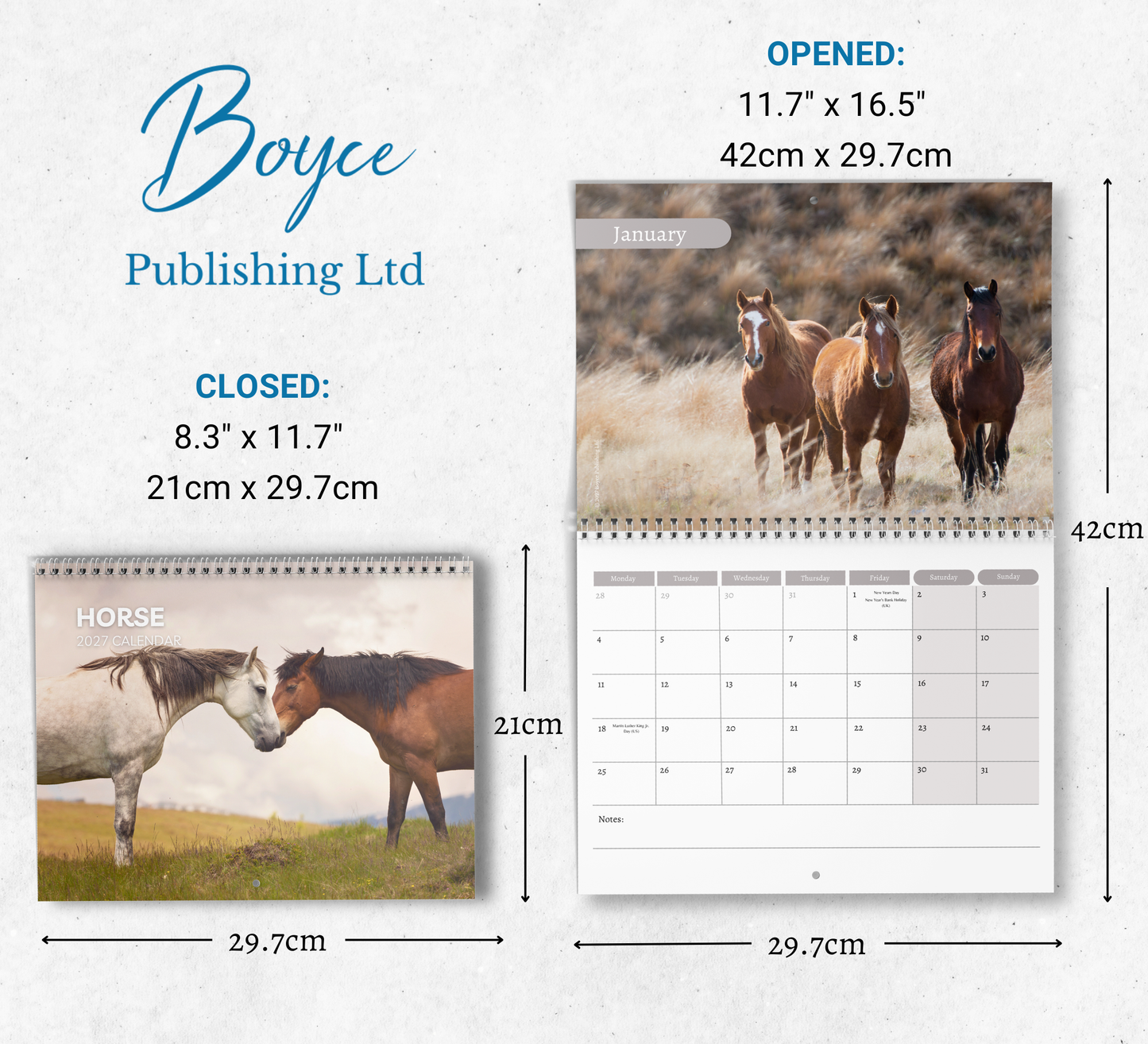 Horse Calendar 2027