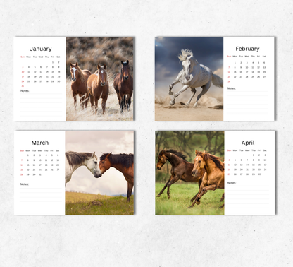 Horse Desk Calendar 2027-2028