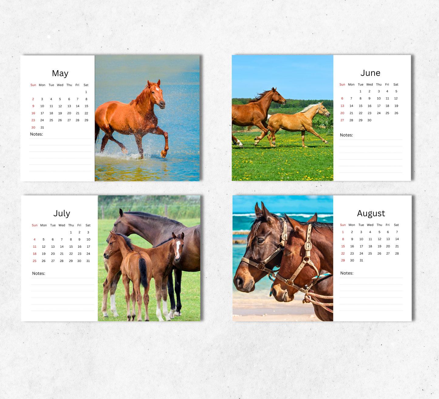 Horse Desk Calendar 2027-2028