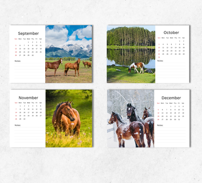 Horse Desk Calendar 2027-2028