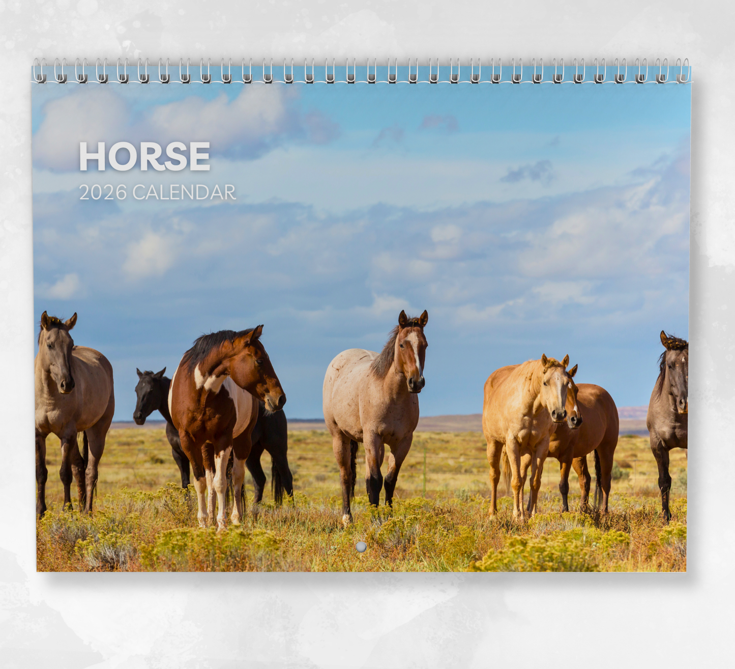 Horse Calendar 2026