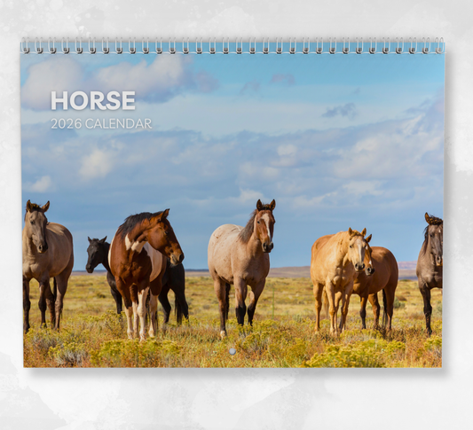 Horse Calendar 2026