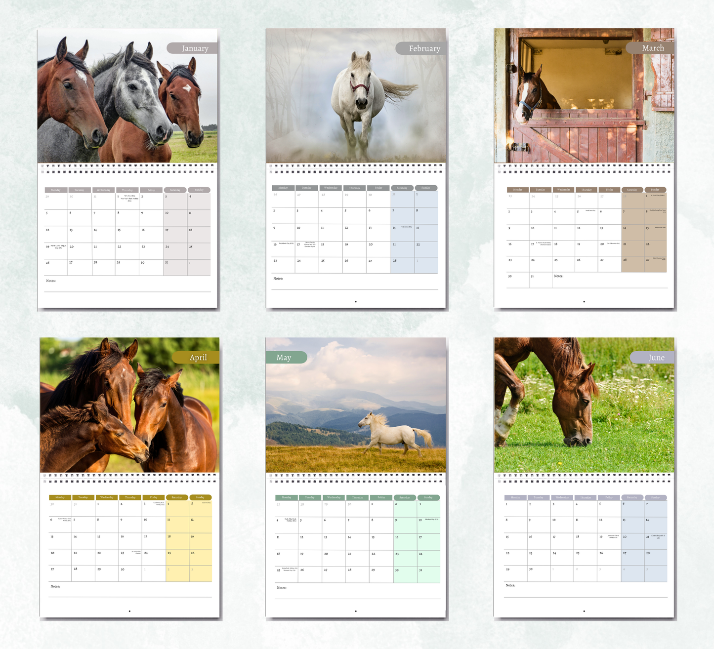 Horse Calendar 2026