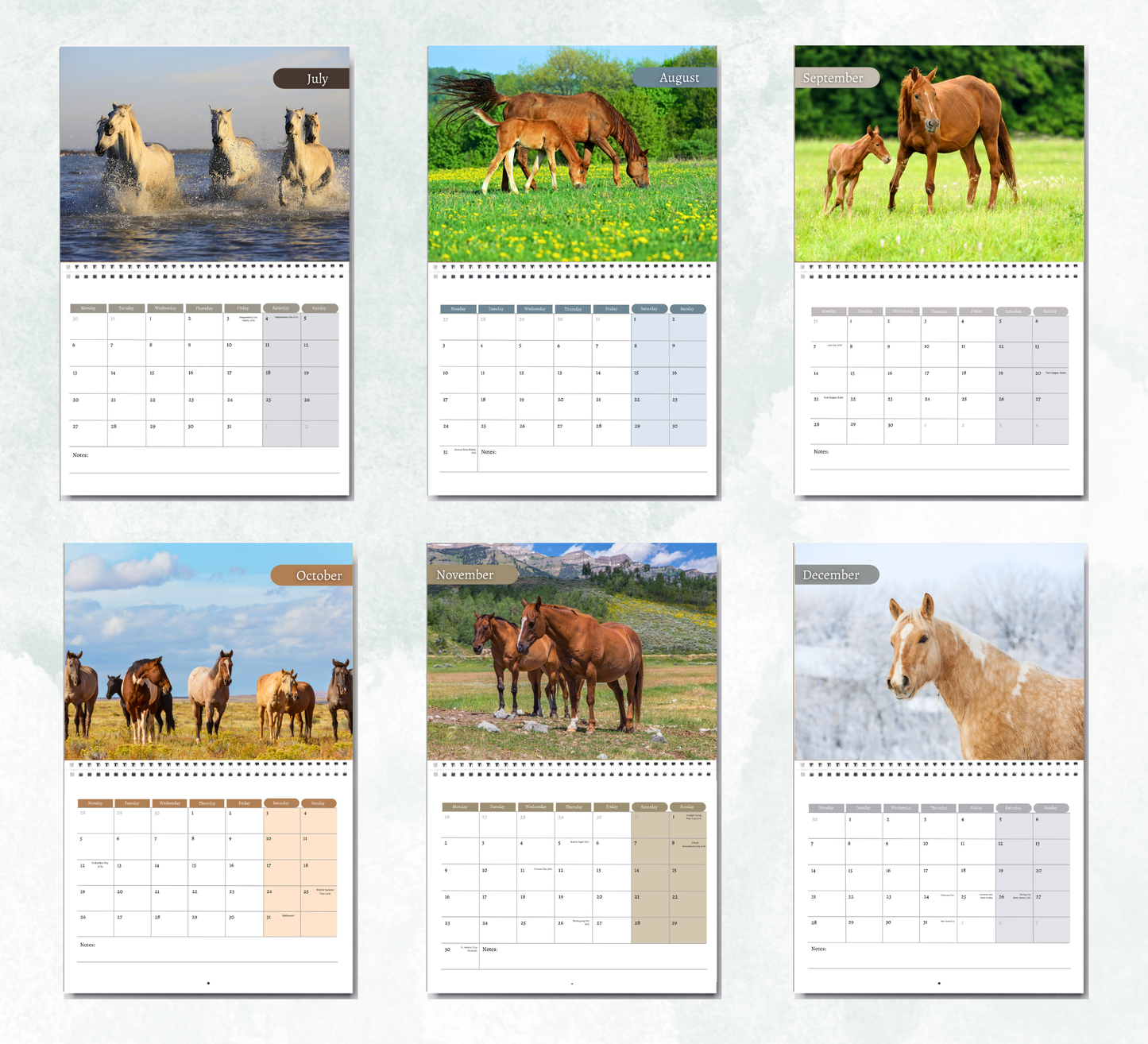 Horse Calendar 2026