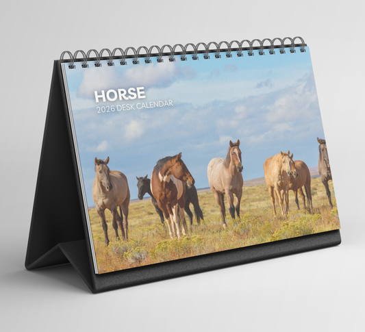 Horse Desk Calendar 2026-2027