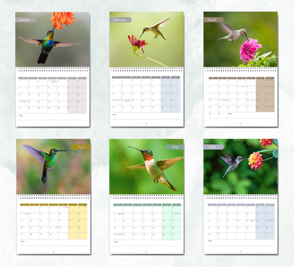 Hummingbird Calendar 2027