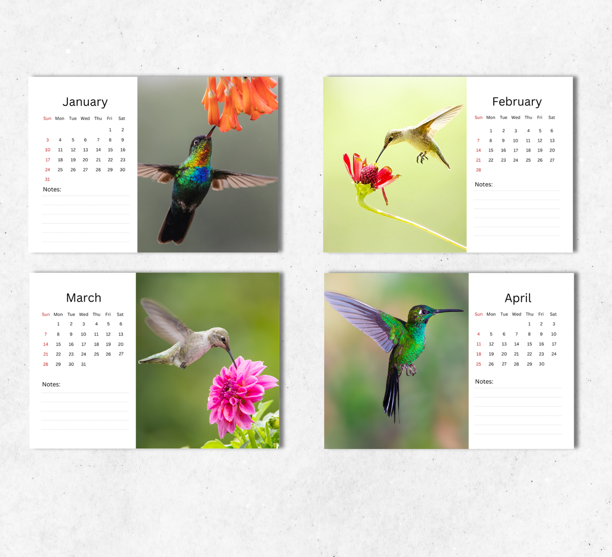 Hummingbird Desk Calendar 2027-2028