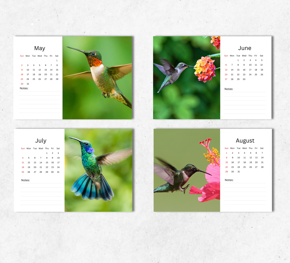 Hummingbird Desk Calendar 2027-2028