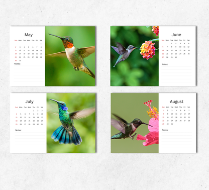 Hummingbird Desk Calendar 2027-2028