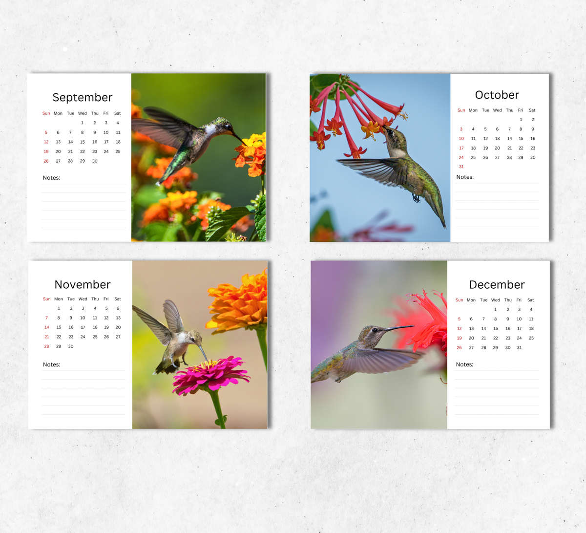 Hummingbird Desk Calendar 2027-2028